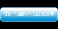 注射干细胞可以延缓衰老三倍