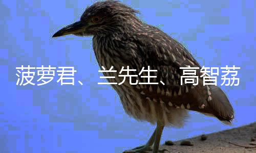 菠萝君、兰先生、高智荔、普宁美梅……广东搭建AI农业项目矩阵 持续提升农业新质生产力