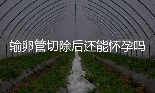 输卵管切除后还能怀孕吗